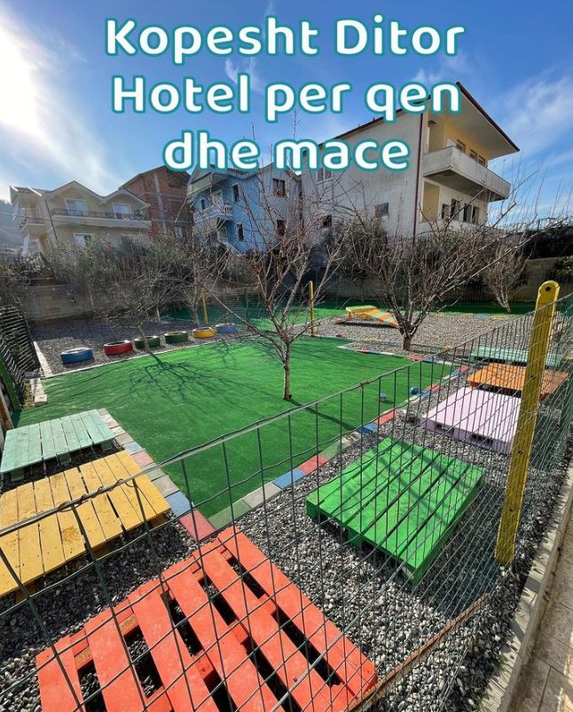 __________hotel-qente-mace-pet-12