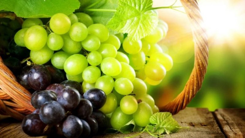 0.5black white grapes wallpaper desktop wallpapers 780x4391630949515