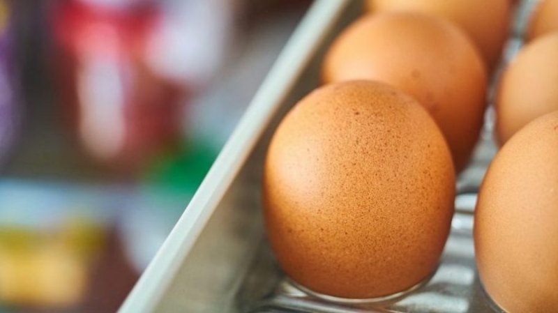 0.5egg 2729099 1920 