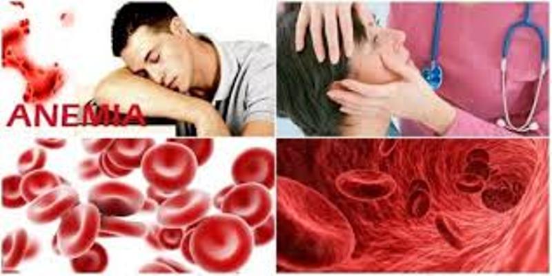 0.6anemia025421684