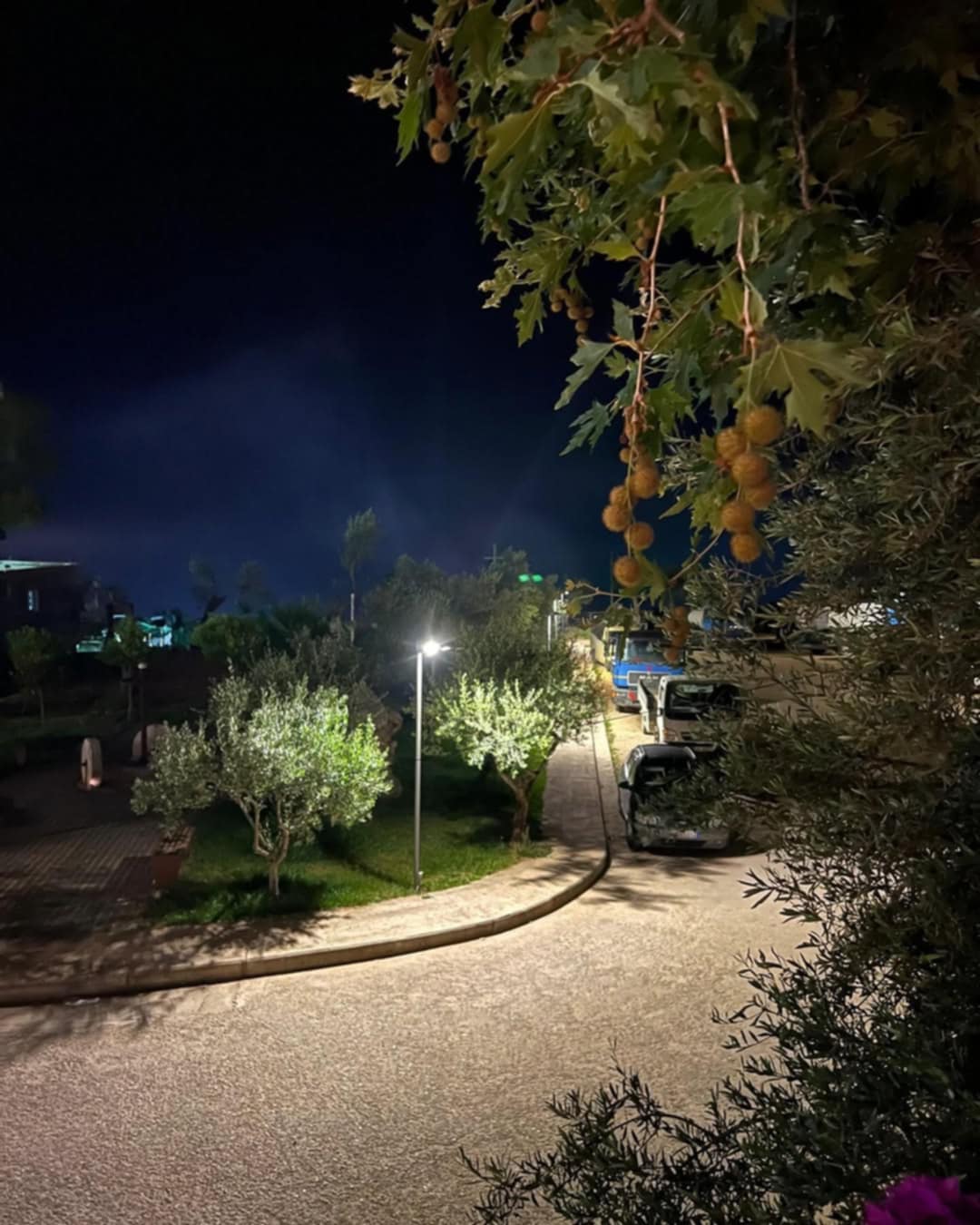 ______DELIVERY-DEHRMI-RESTORANT-181