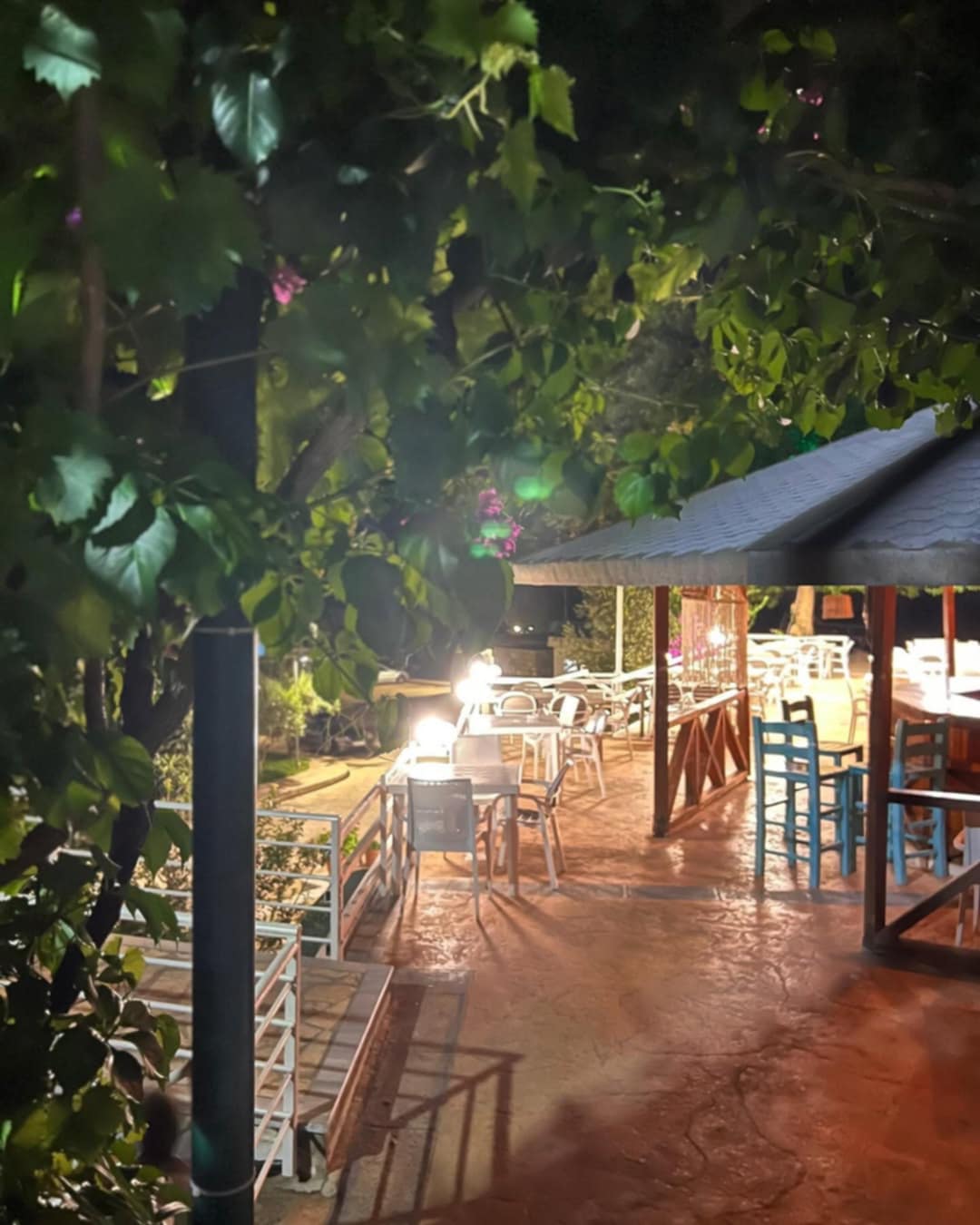 ______DELIVERY-DEHRMI-RESTORANT-196