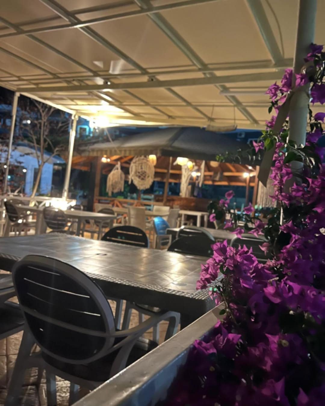 ______DELIVERY-DEHRMI-RESTORANT-197