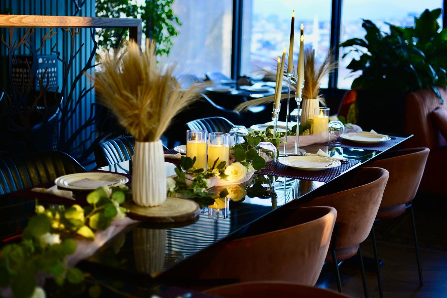 ______________________________bar-piceri-tirane-16