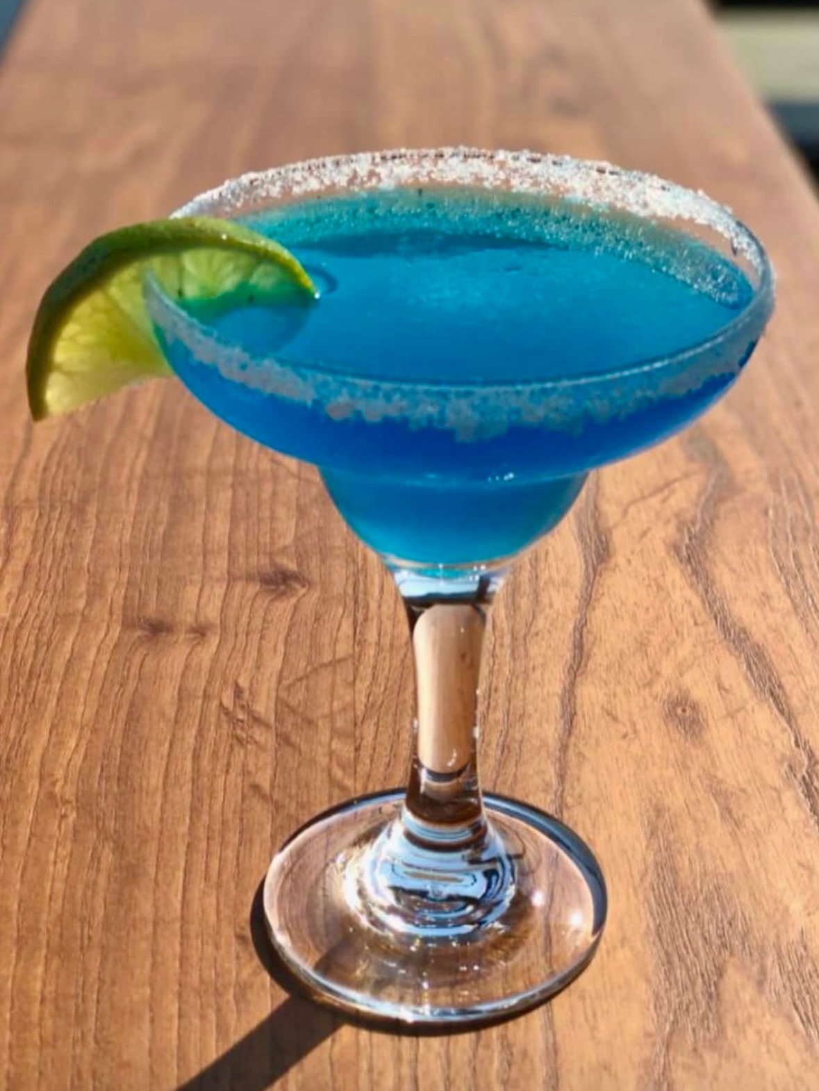 ______________________________bar-piceri-tirane-18