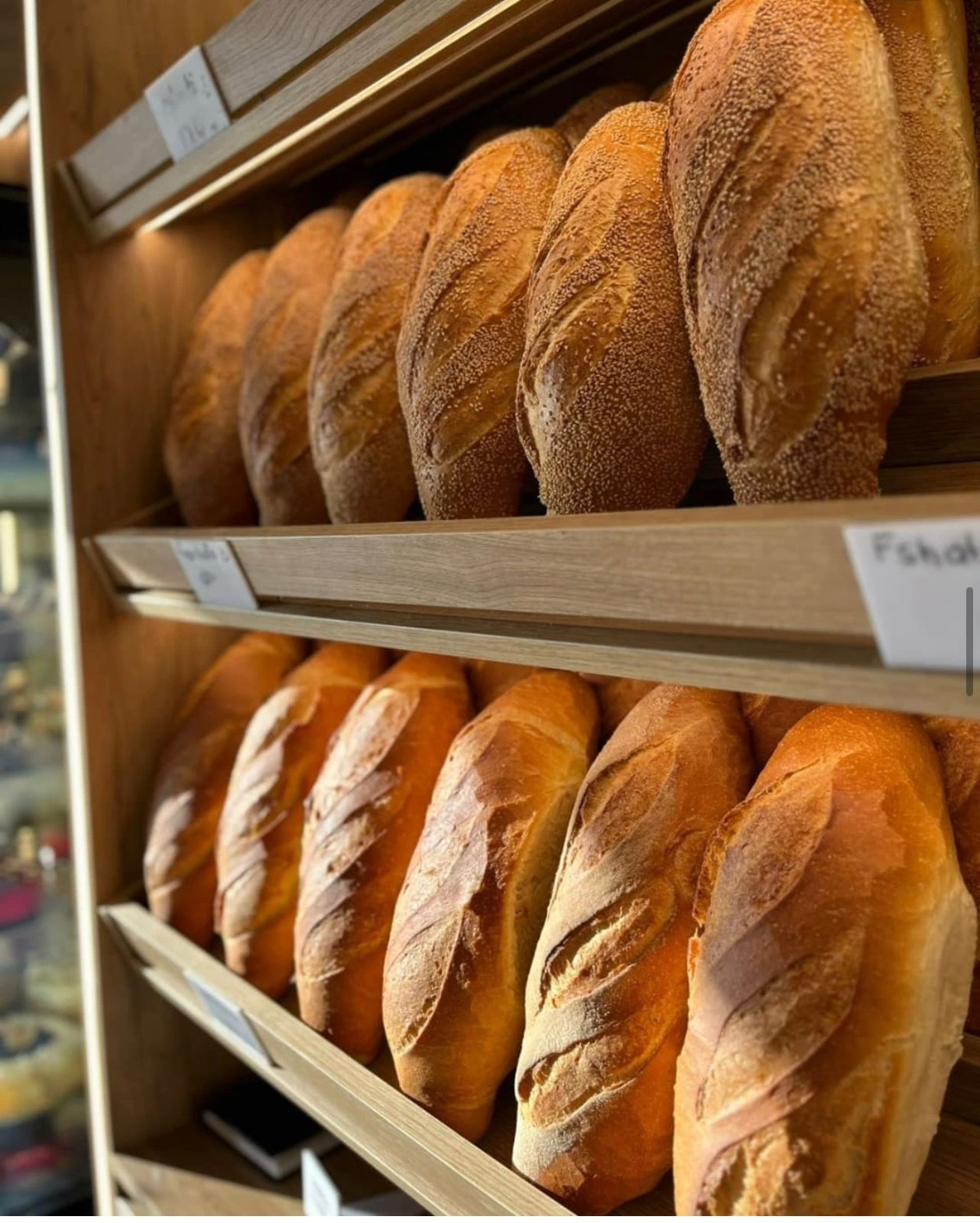 FURRE-BUKE-5KATESHI9