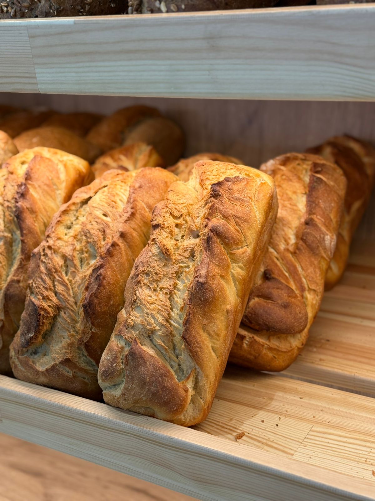 FURRE-BUKE-5KATESHIA1