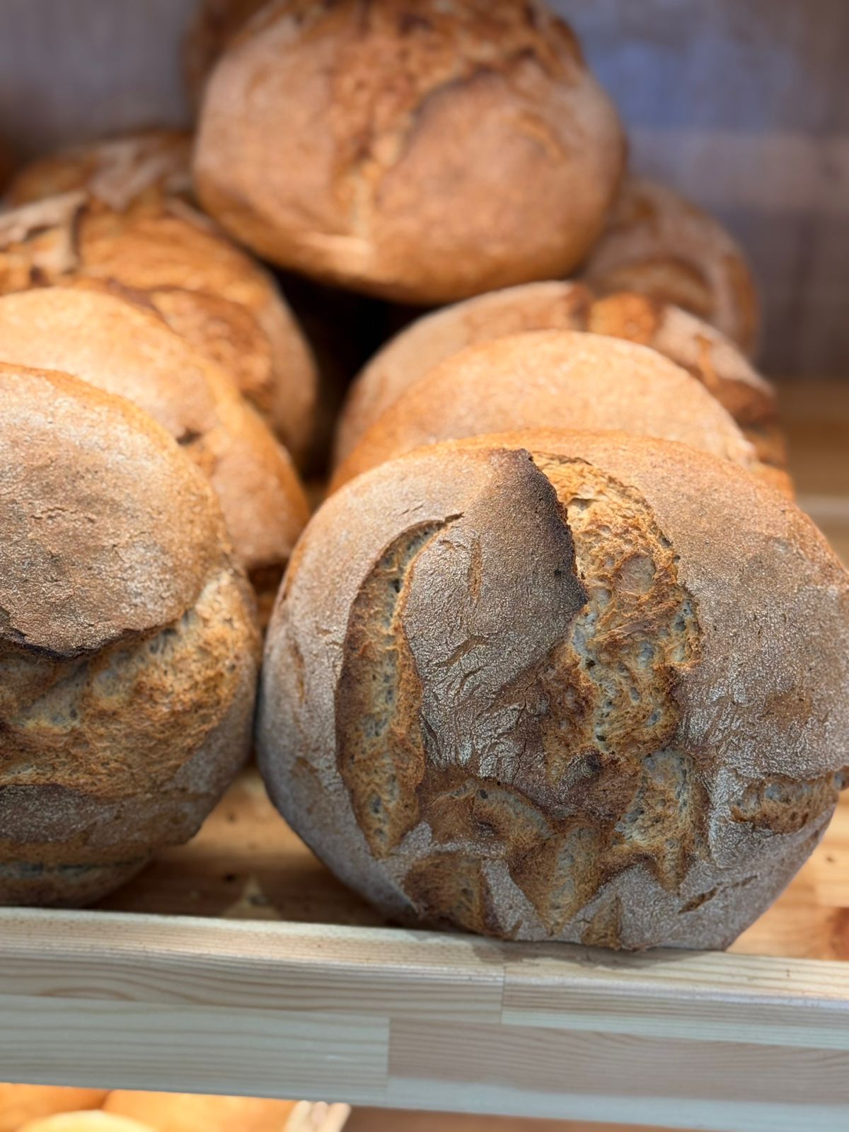 FURRE-BUKE-5KATESHIA3