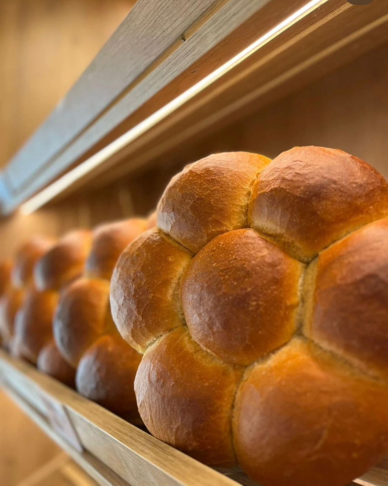 FURRE-BUKE5KATESHI10