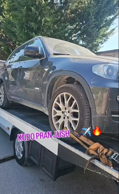 Karrotrec-lushnje-Ani3