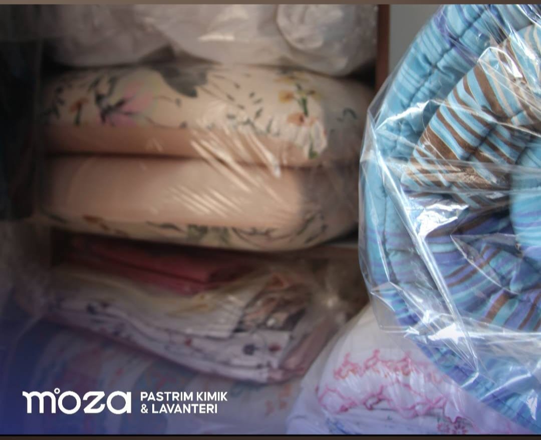 Lavanderi-Moza2