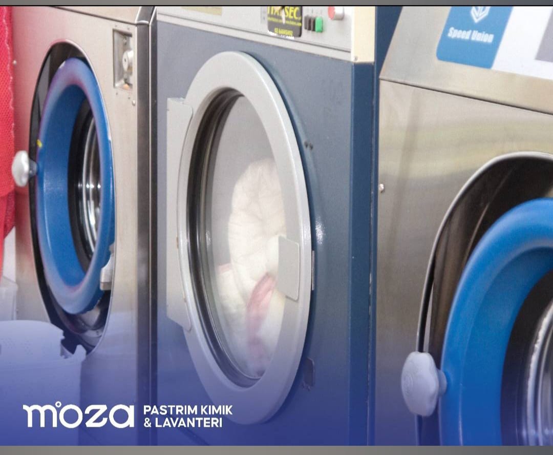 Lavanderi-Moza3