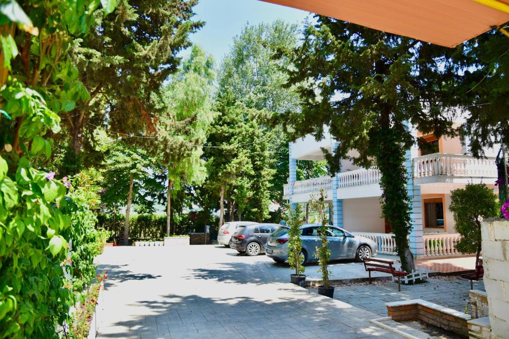 vila-gridi-qerret.10jpg