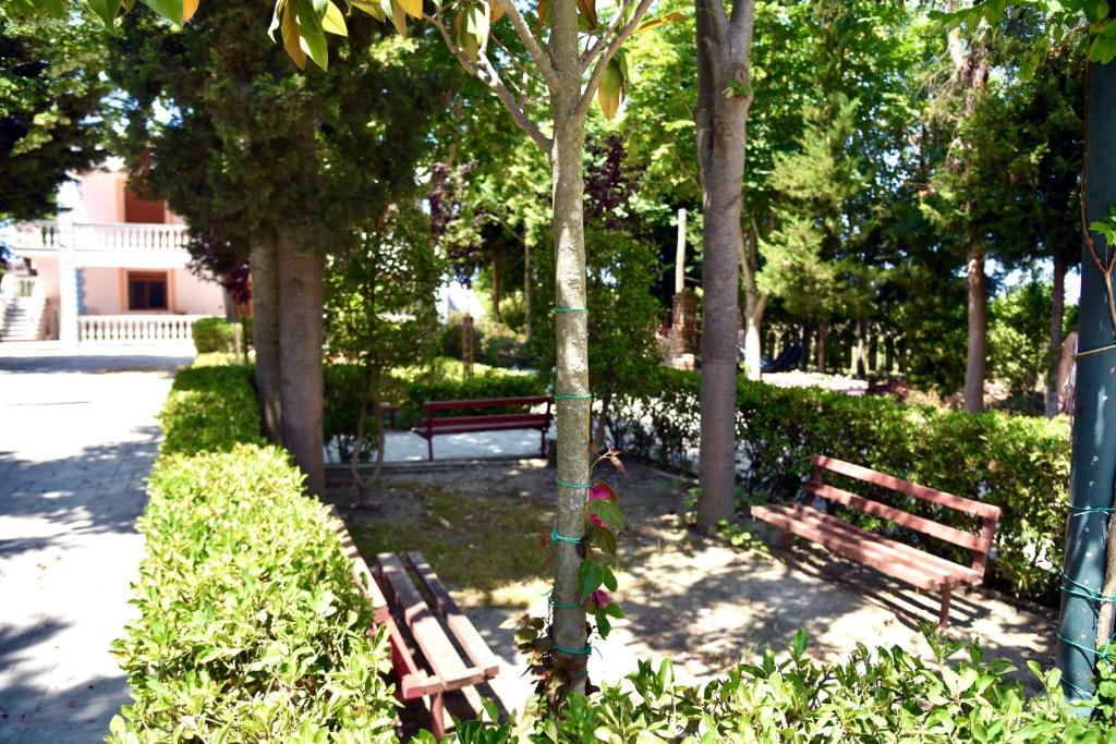 vila-gridi-qerret.6jpg