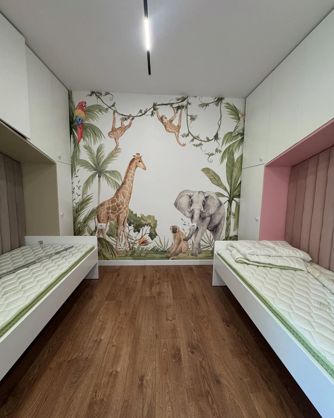 SaveClip.App_504837386_18513582085002428_2299171678386141035_n