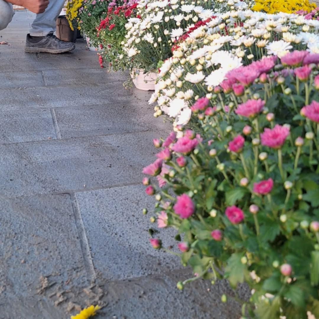 ______________________kOPSHTAR-PEME-NATYRALE-14