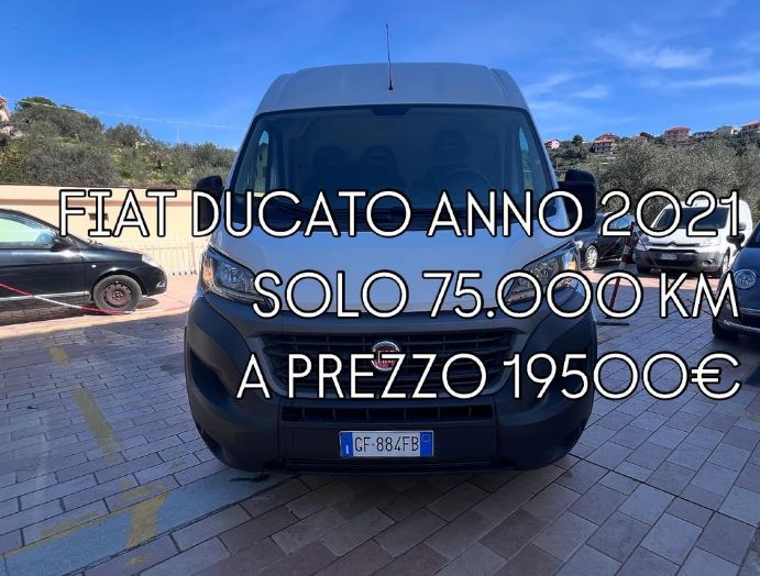 ________________auto-usate-italia-19