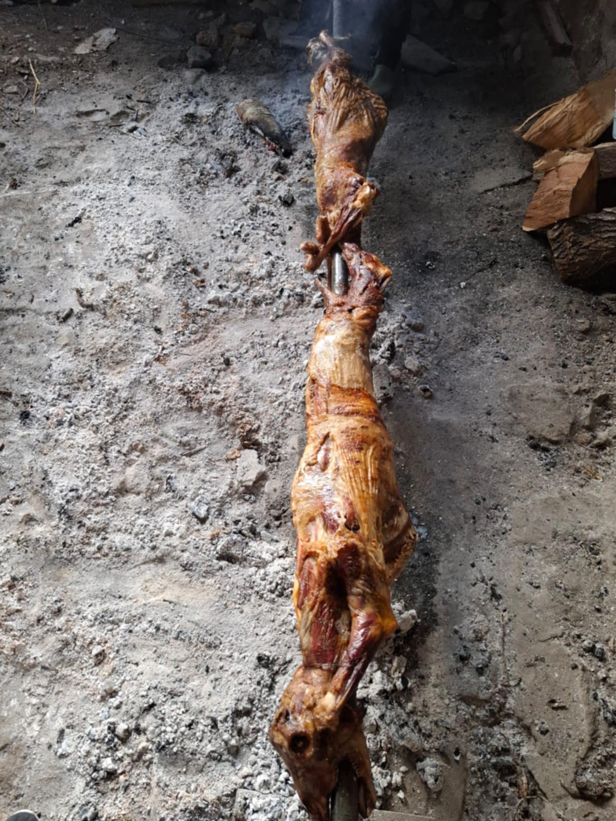 ____restorant-shkoder-192