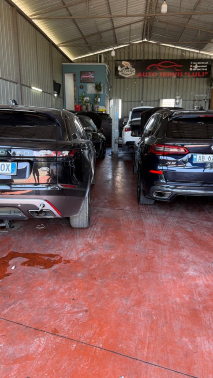 pastrim-partikolari-dpf-servis-kruje-16