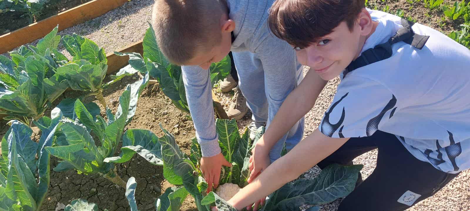 04c0d8e0-4c40-4621-b17a-0a4b76d288ac