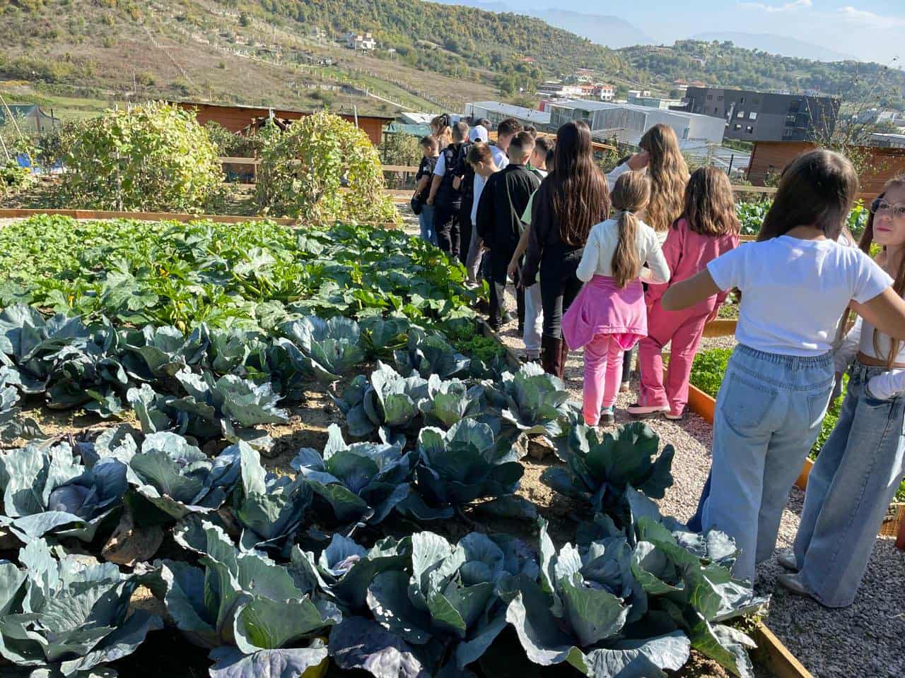 0696c531-d64a-4591-97d0-d37d9a41f7da