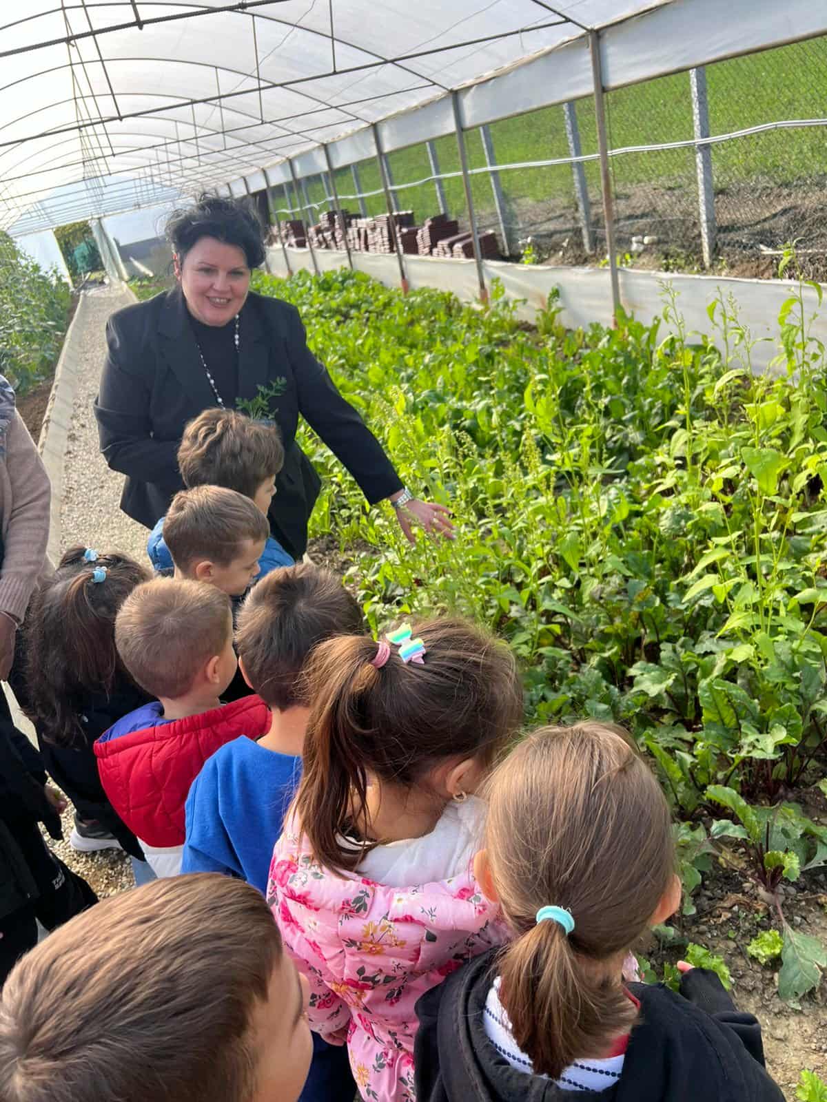 177e84dd-daef-433e-a829-6490bbededc2