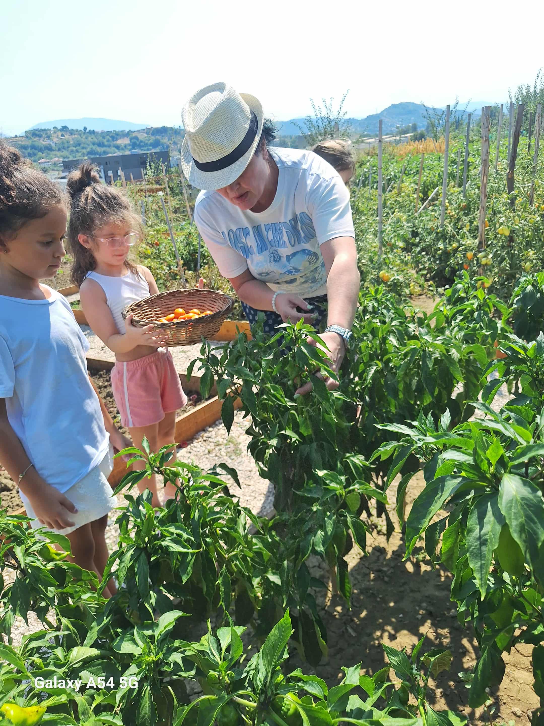 194eb595-d715-4561-9e2b-95526a4ca8c3