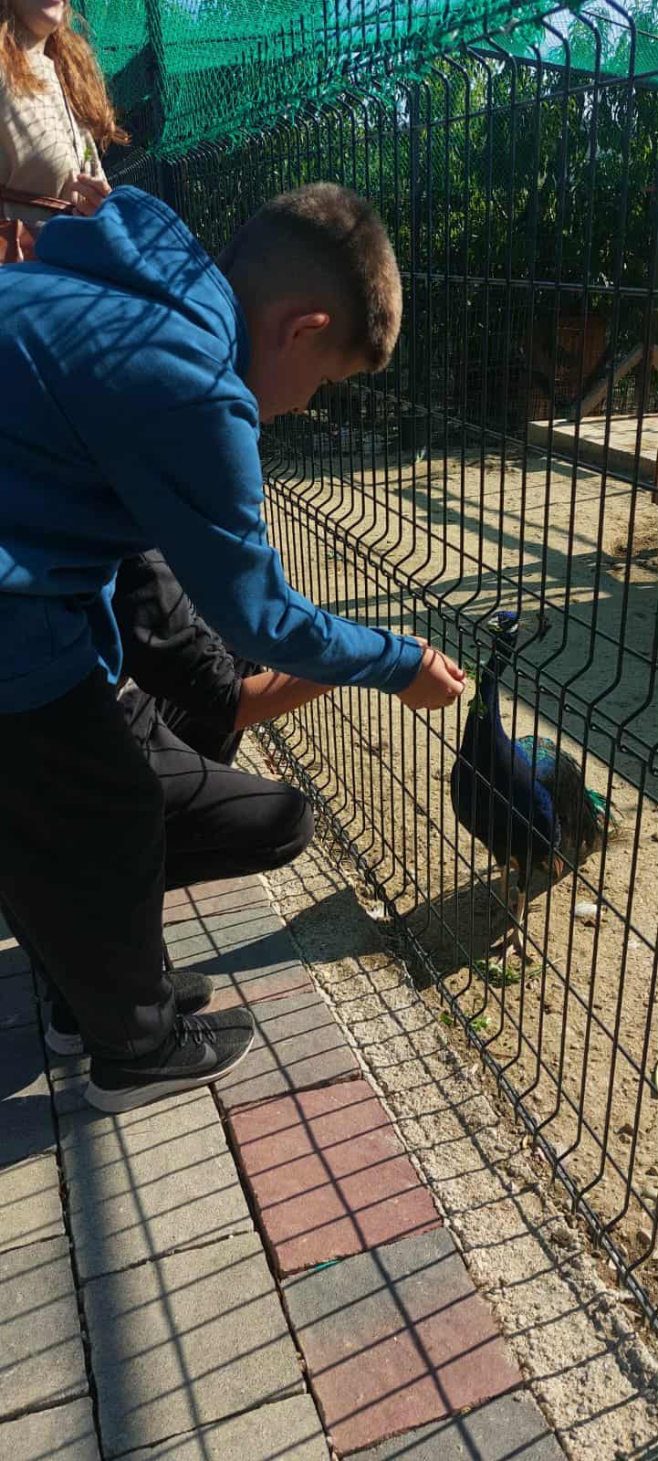 340e0148-2cdd-4b15-b3e6-e8b41f7c298d