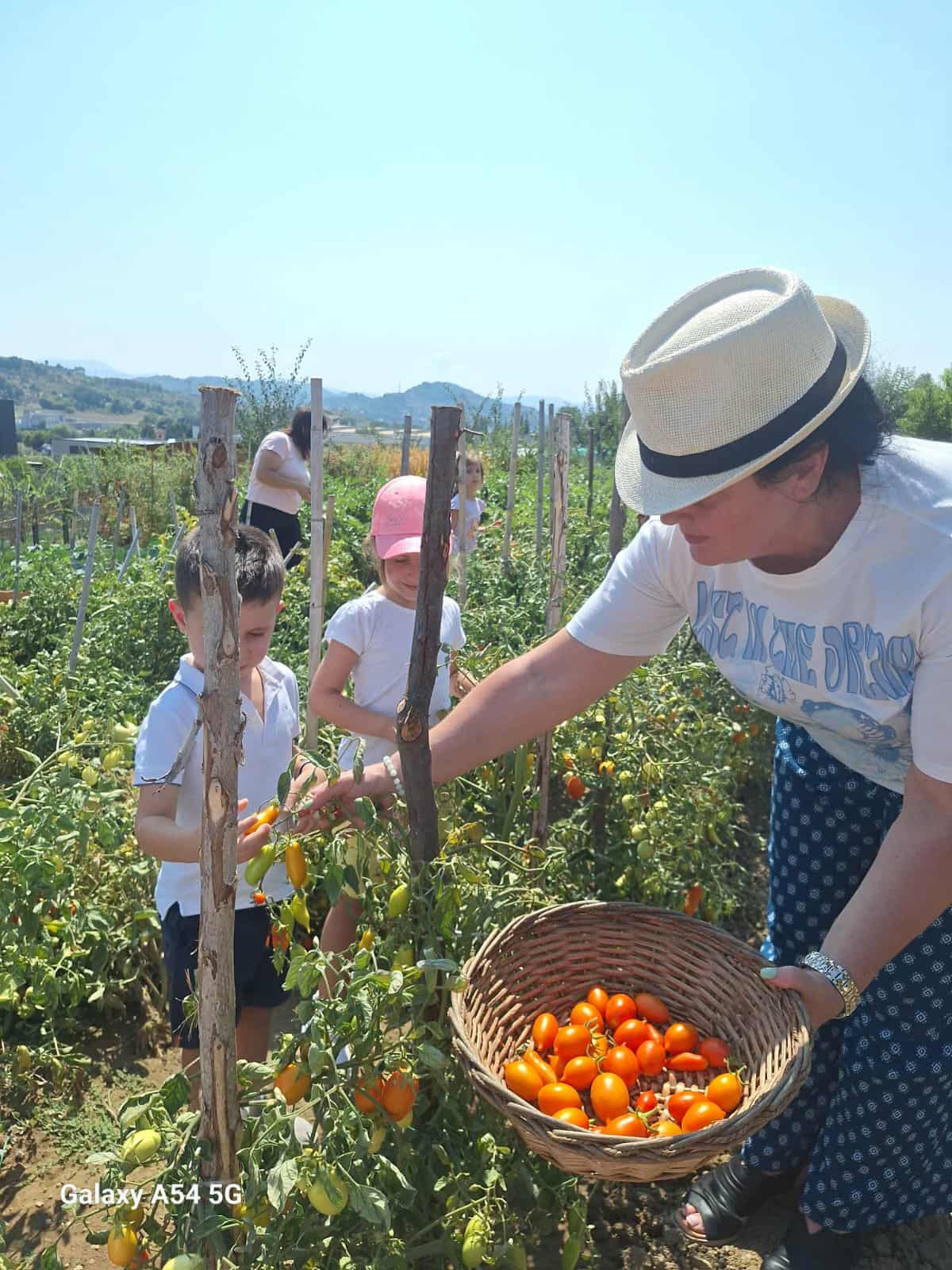 411b1b8b-603c-4655-9ca6-18f195a3a4df