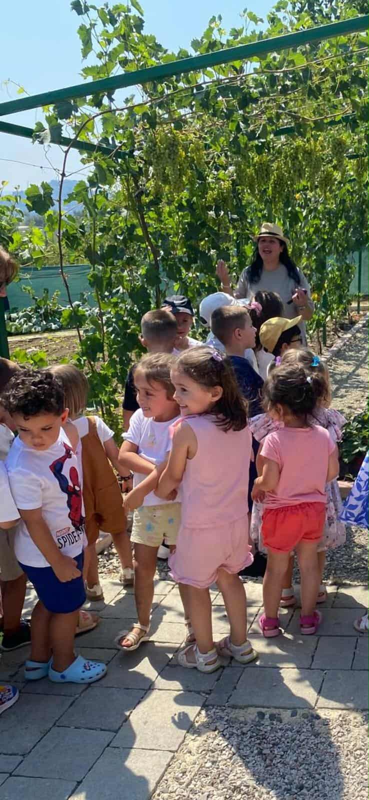 462c32a7-18b7-4d2c-bcab-da978111d8ed