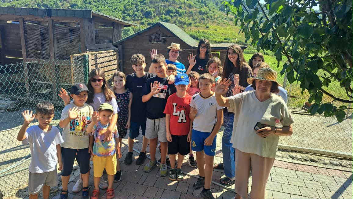 490c3f7a-c092-4fbd-9bce-b37cfa6473ef