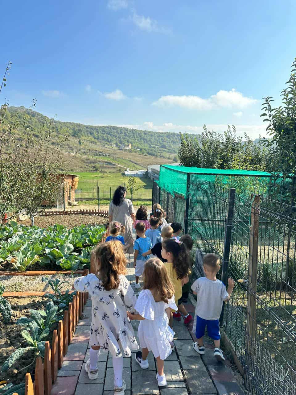 5066f5d1-cfed-49ff-9a74-e7d6ab558178