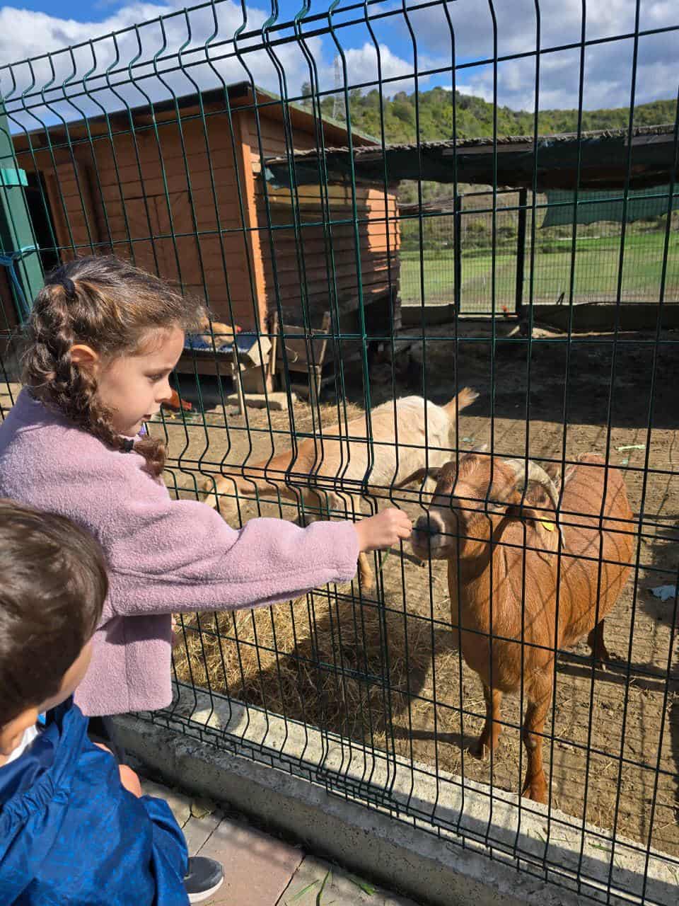 6b404271-5161-4171-a09c-2f5d63121a9b