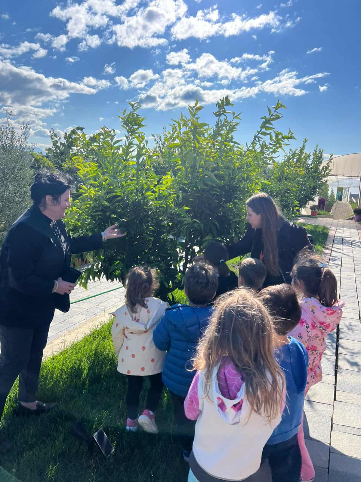 8d70a383-001e-444b-b2ed-636d38c39677