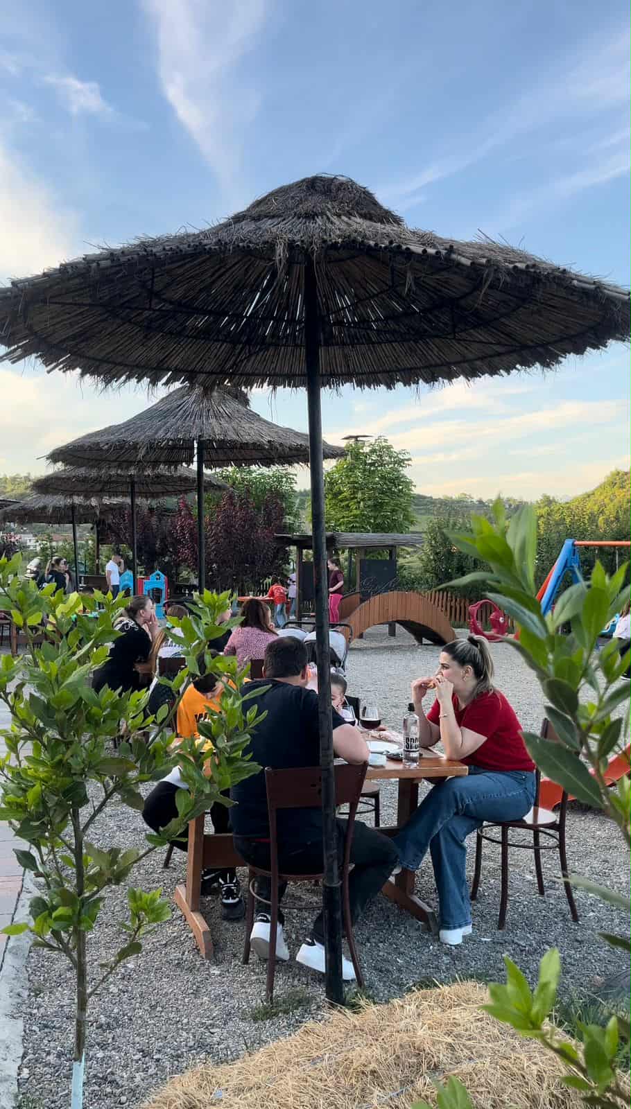 RESTORANT-FERMA-TIRANE-KOPSHTE-FEMIJE-110