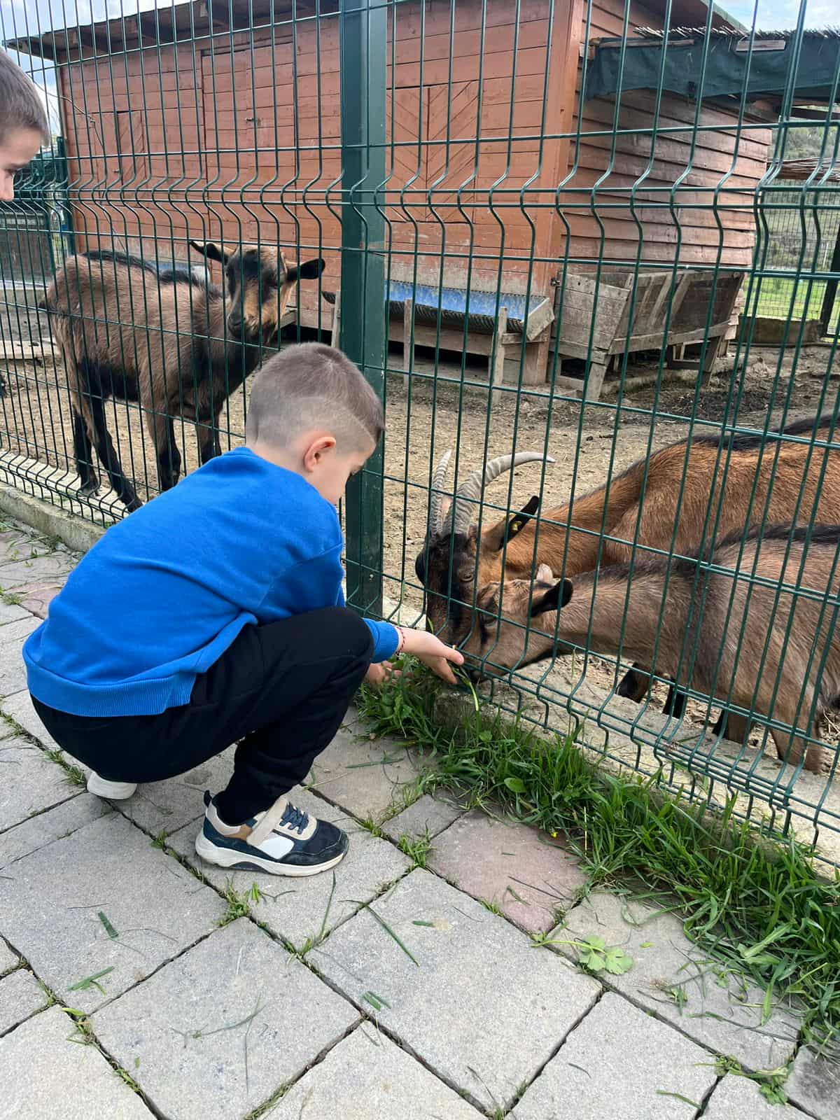 RESTORANT-FERMA-TIRANE-KOPSHTE-FEMIJE-14