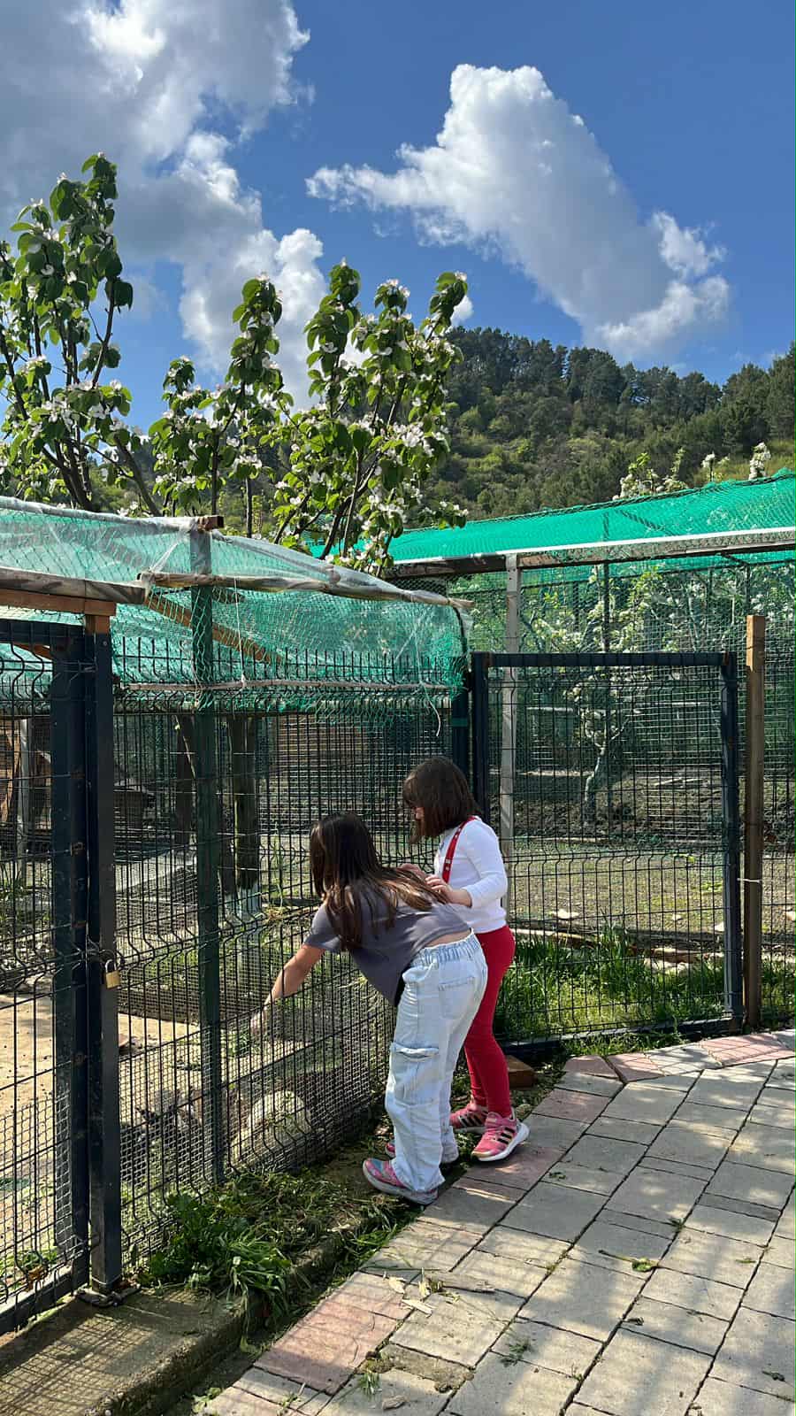 RESTORANT-FERMA-TIRANE-KOPSHTE-FEMIJE-15