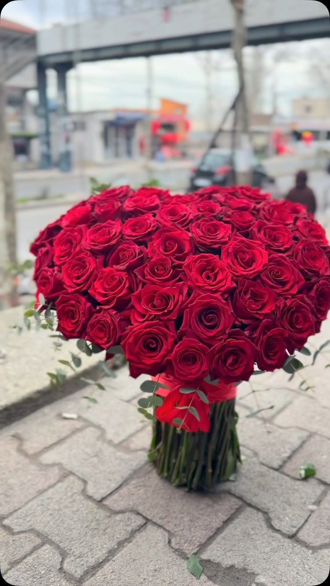 _______________LULE-DYQAN-LULESH-KAMEZ-INSTITUT-1