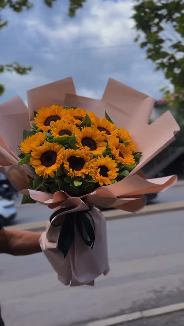 _______________LULE-DYQAN-LULESH-KAMEZ-INSTITUT-12