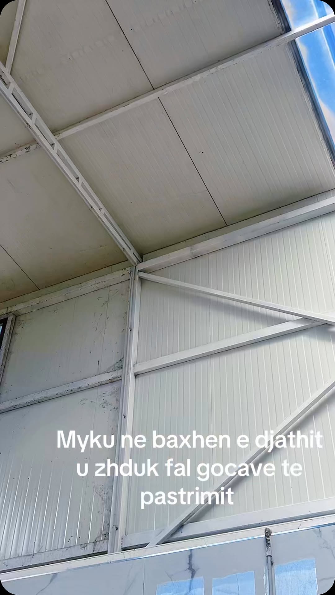 _________________KOMPANI-PASTRIMI-TIRANE-1995