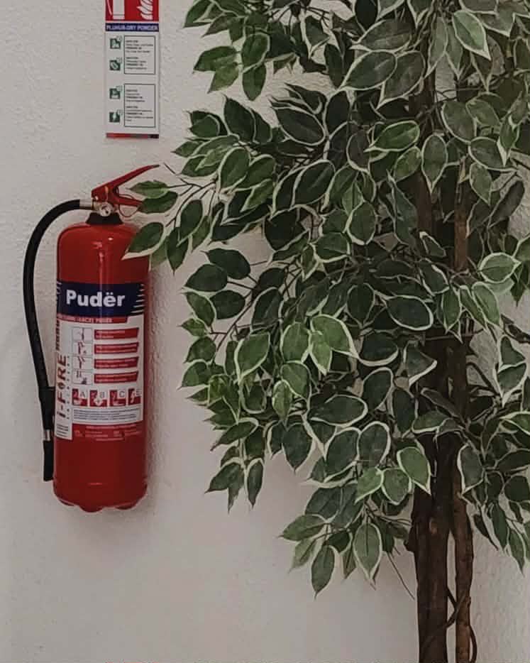 ________________fikse-zjarri-13