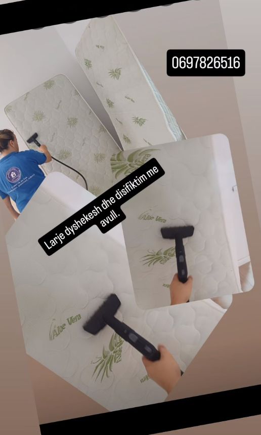 ______________kompani-pastrimi-dures-13