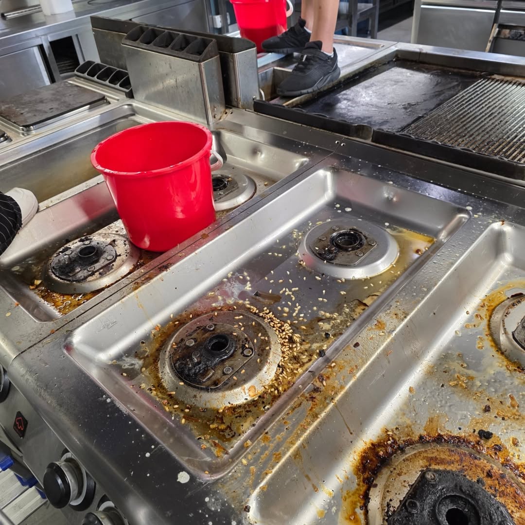 ______________kompani-pastrimi-dures-16