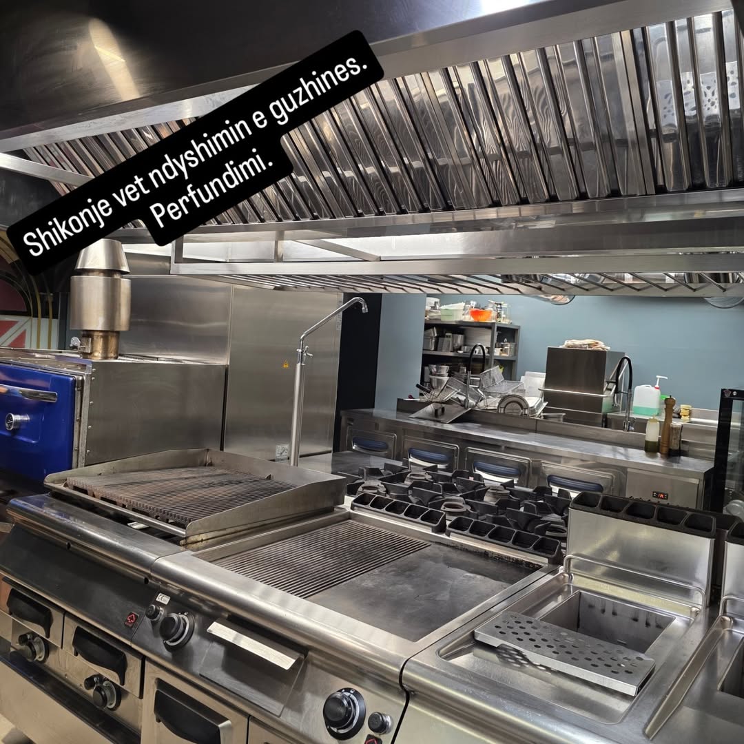 ______________kompani-pastrimi-dures-17