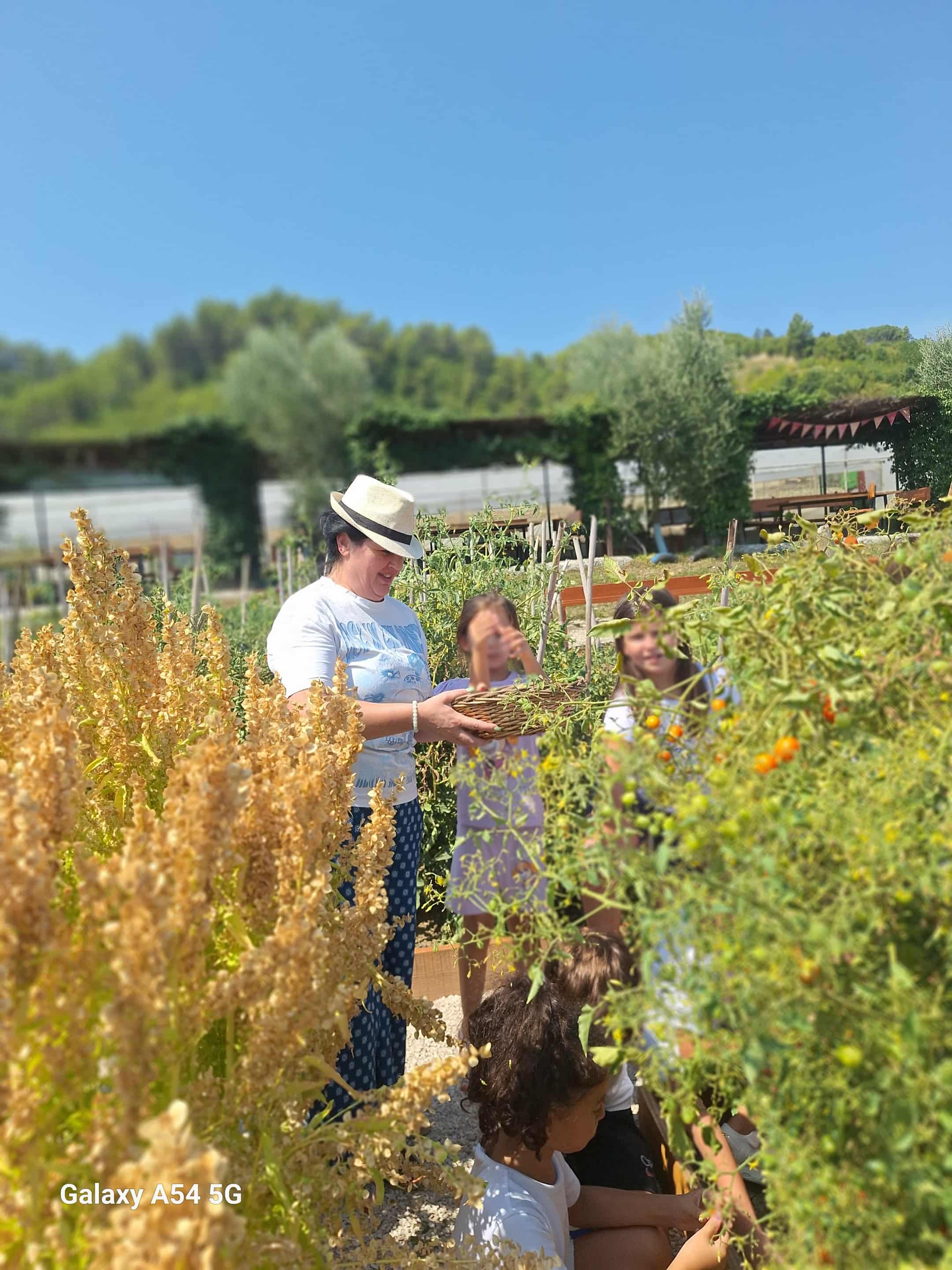 e64b5e43-cb1f-4a20-b6f1-b56cf7fdd698