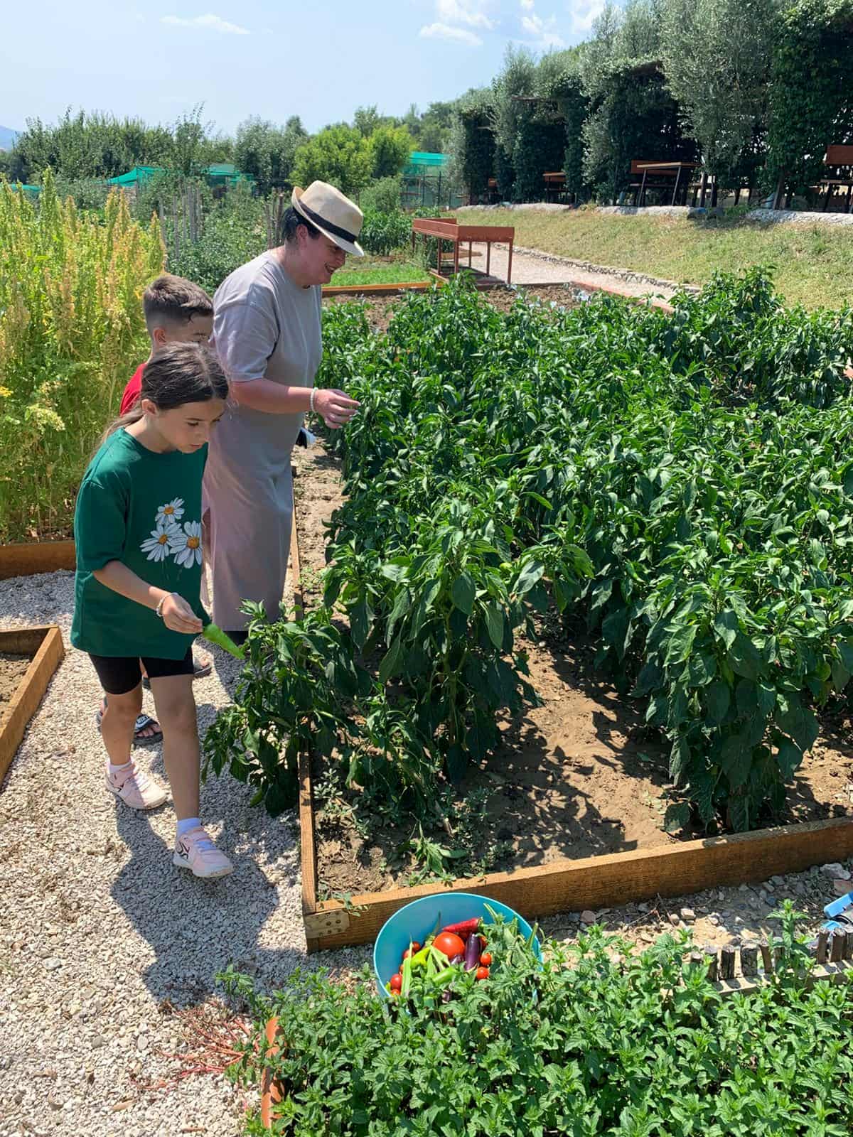 f30bb626-bbc2-4e52-ac64-c8aaefc7bf20