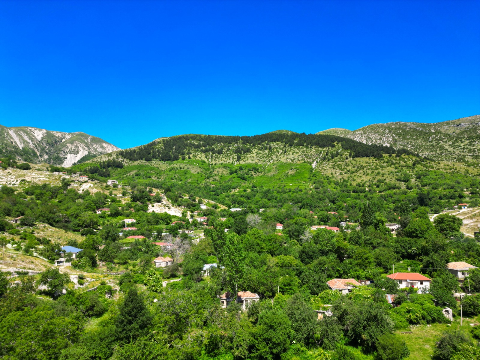VILA-DR.BIZHGA-AGROTURIZEM23