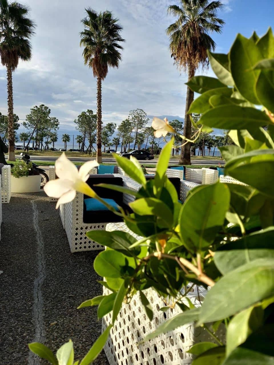 a-piceri-restorant-lungomare-vlore-17