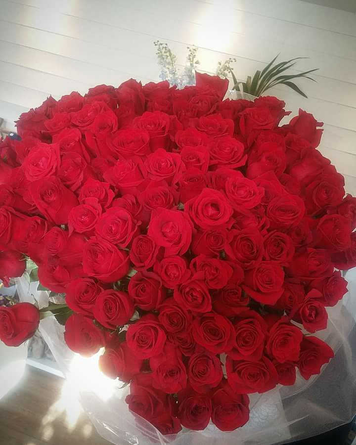 0---Dyqan-Lulesh-NE-TIRANE-RED-ROSES-2