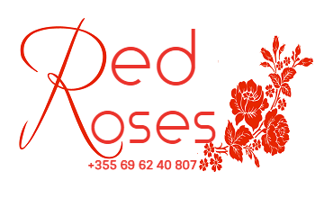 0-0-0-RED-ROSES-DYQAN-LULESH-TIRANE-LOGOOO